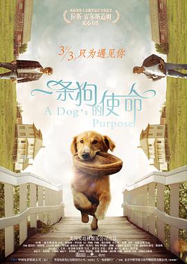 一区二区三区高清在线观看
