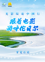 综合成人