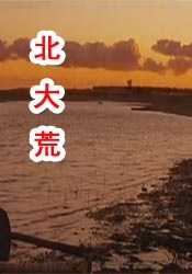 久久瑟瑟