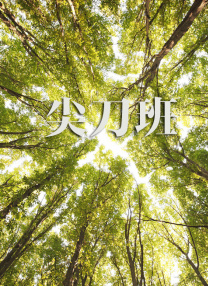久久久网站