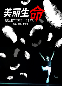 中文字幕视频网