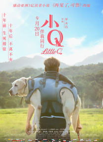 经典传奇全集免费观看