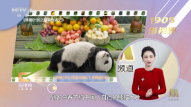 久久久久久免费一区二区三区